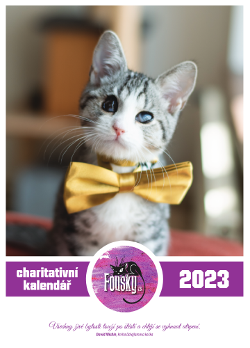 Fousky z.s. - charitativní kalendář 2023 - nástěnný A3