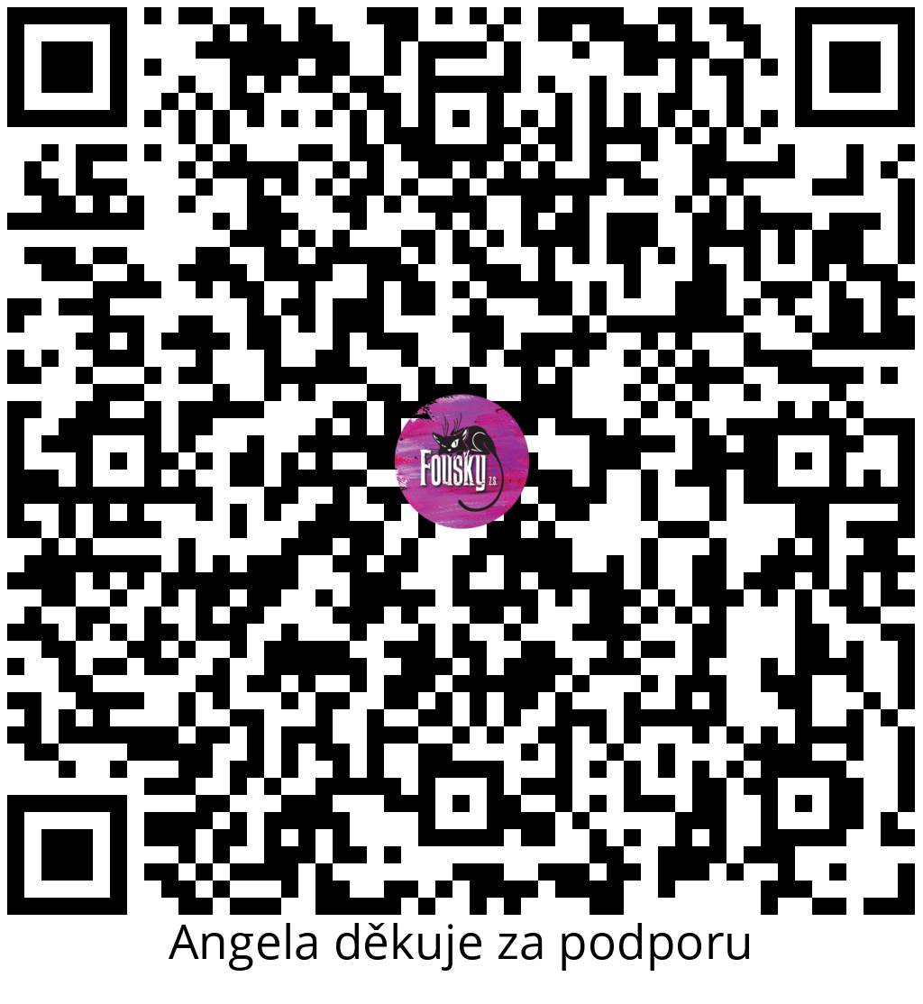 Platební QR kód