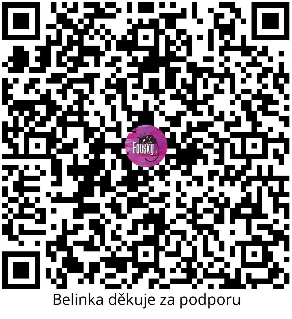 Platební QR kód