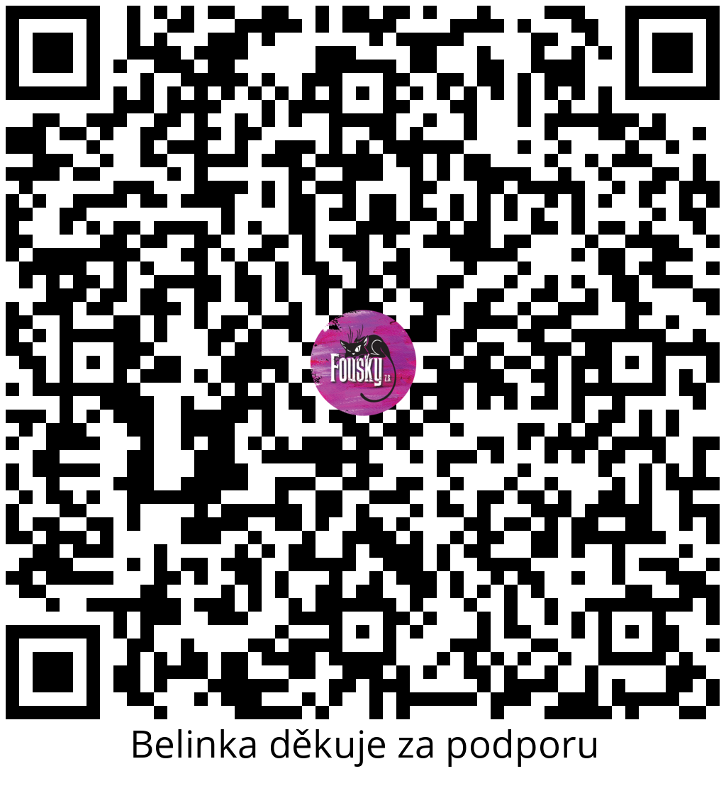 Platební QR kód