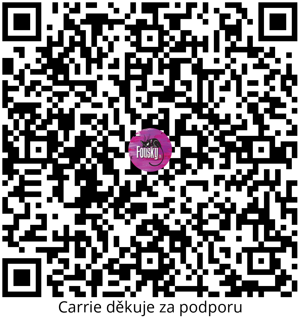 Platební QR kód