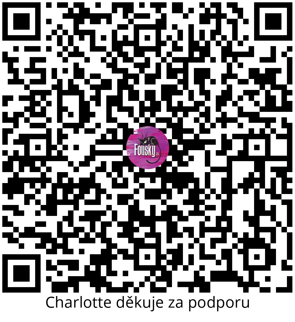 Platební QR kód