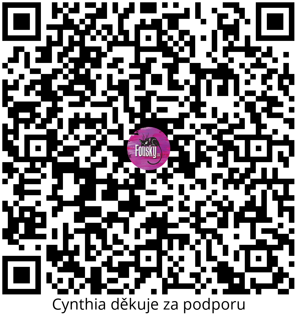Platební QR kód