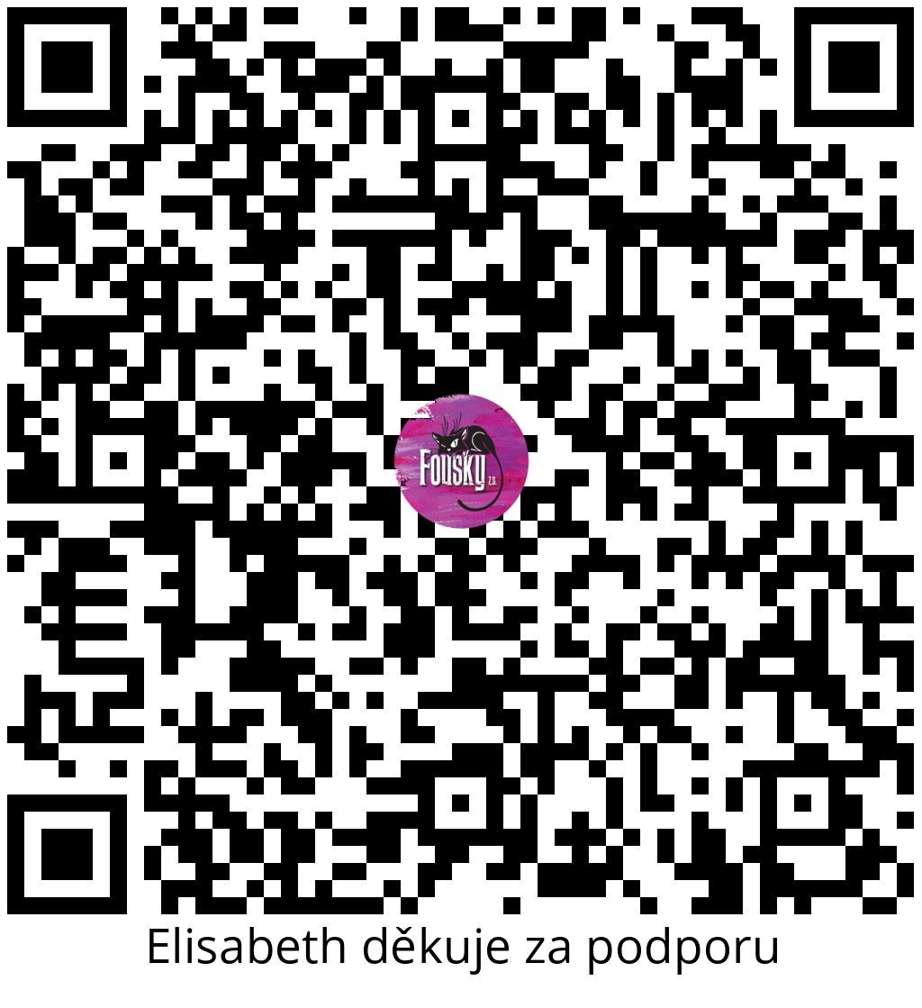 Platební QR kód