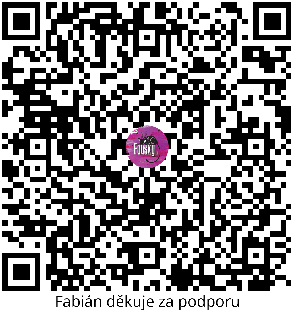 Platební QR kód