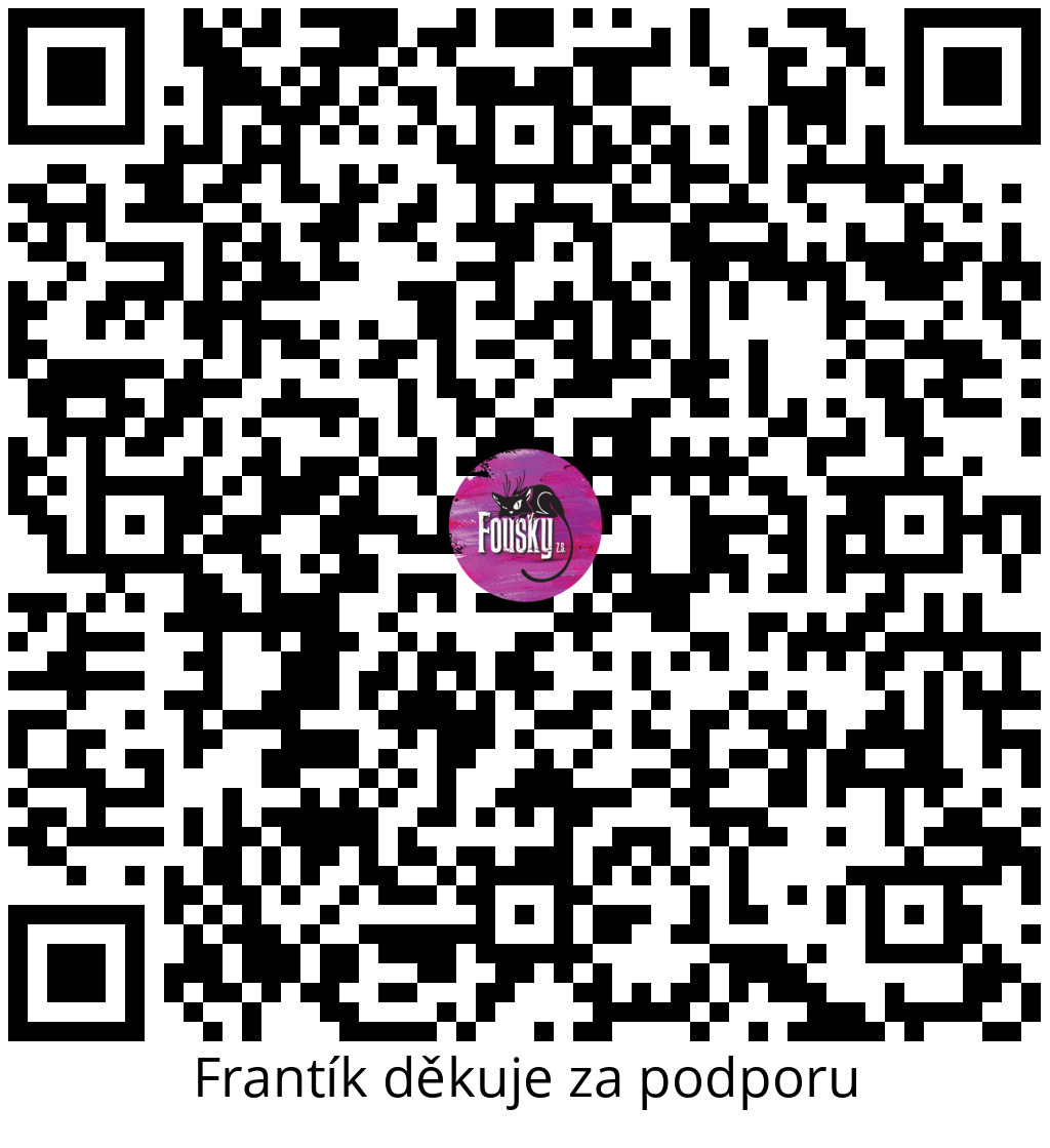Platební QR kód