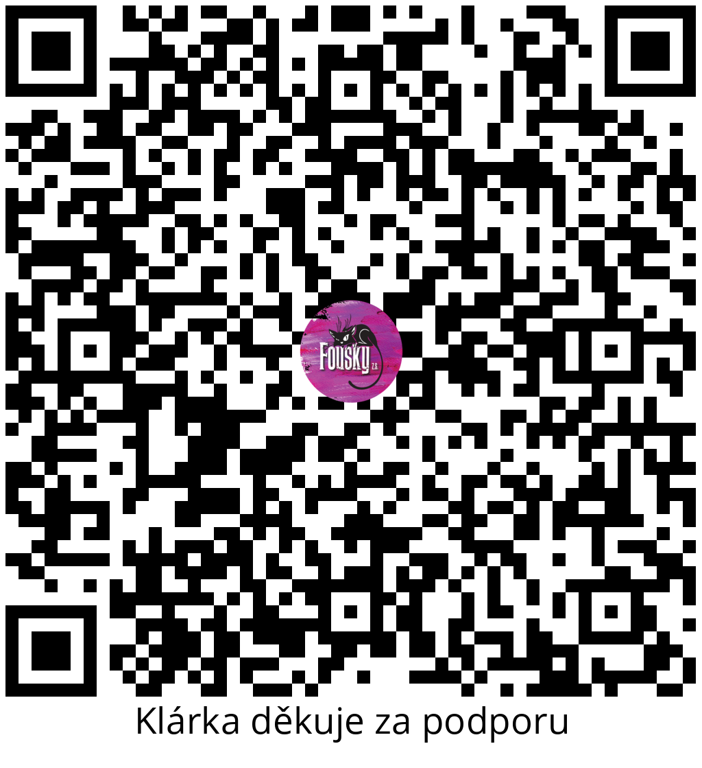 Platební QR kód