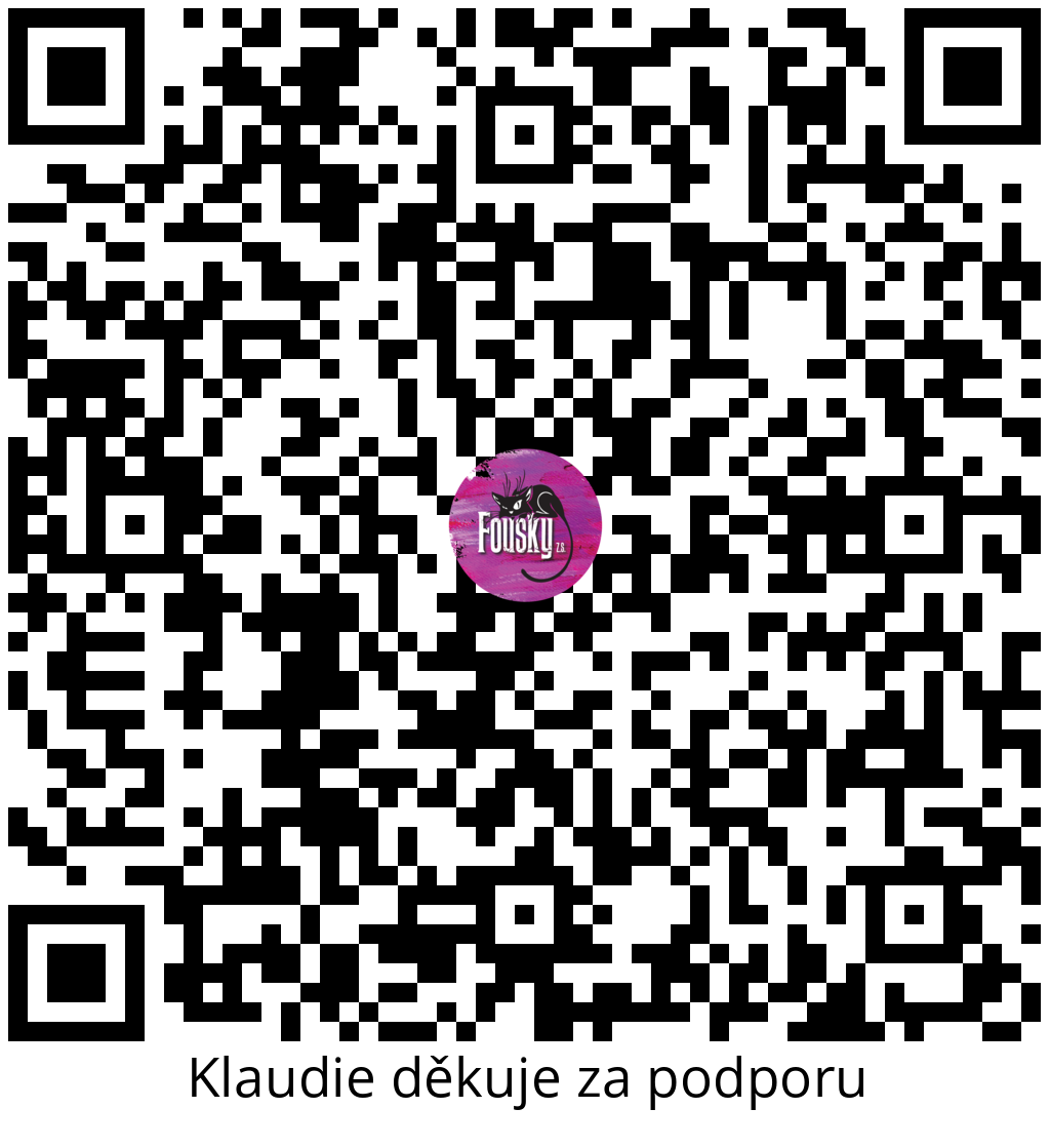 Platební QR kód