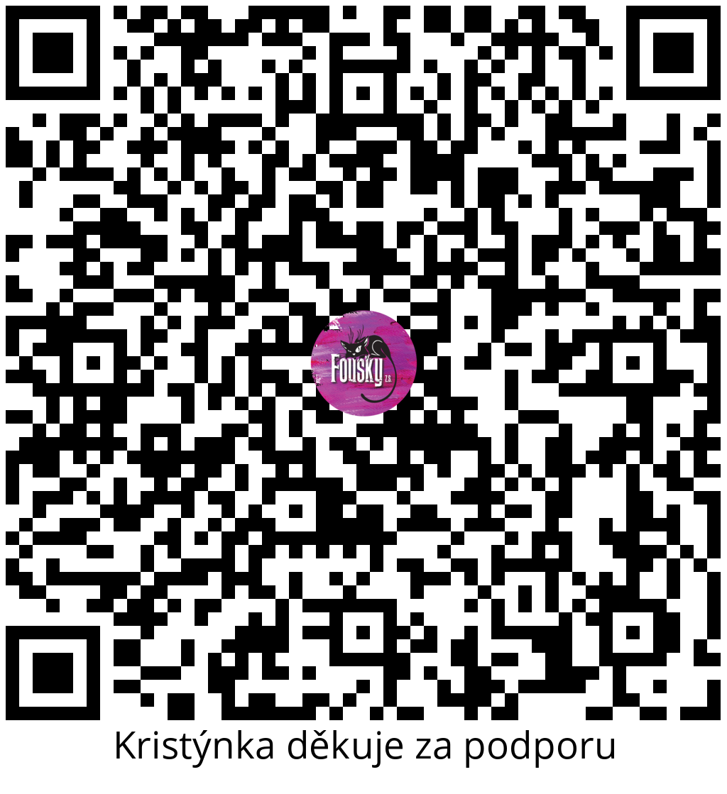 Platební QR kód