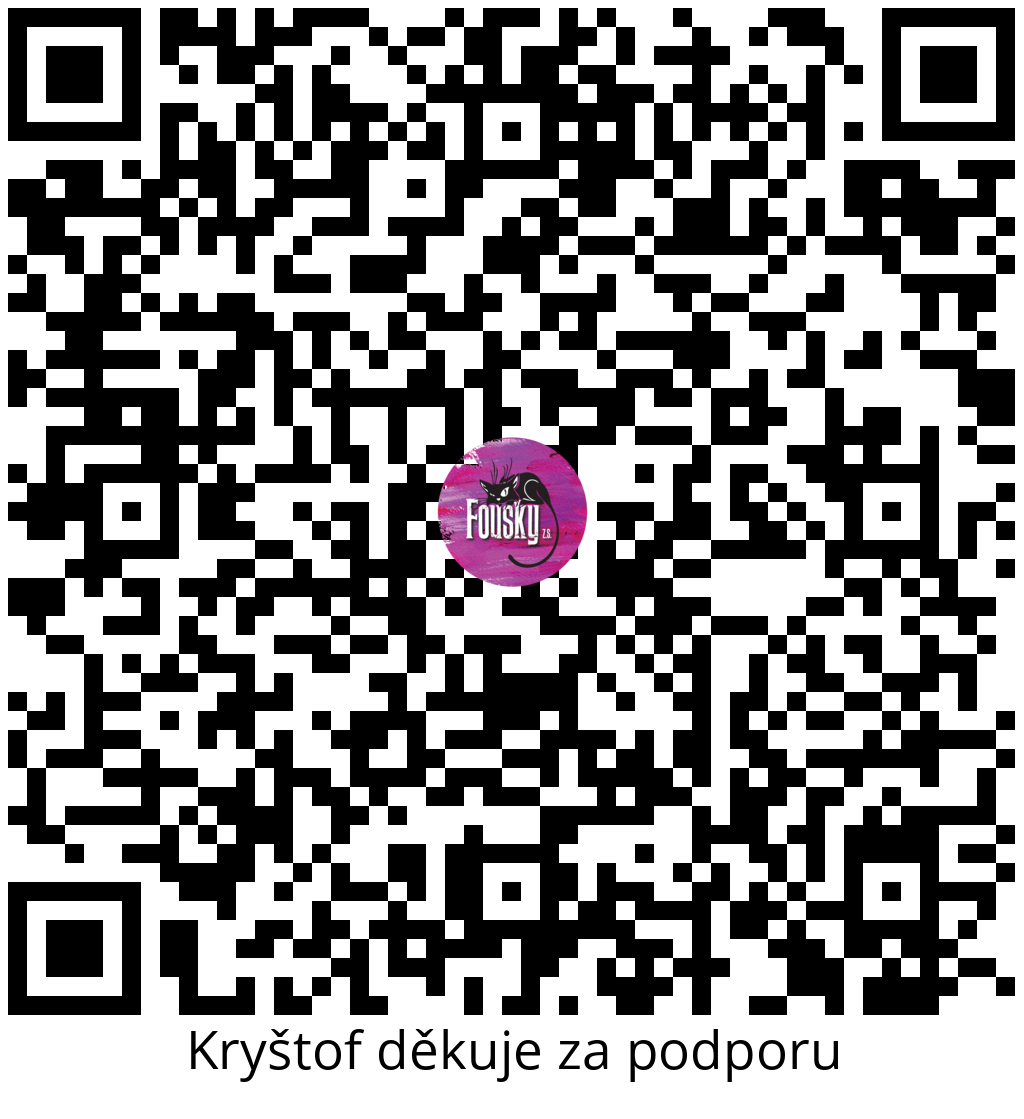 Platební QR kód