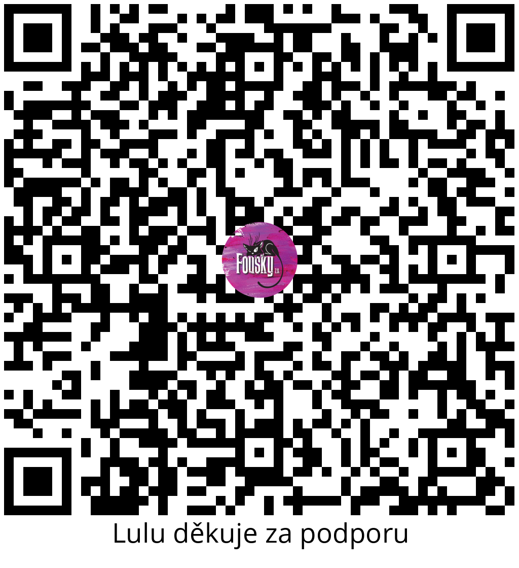 Platební QR kód