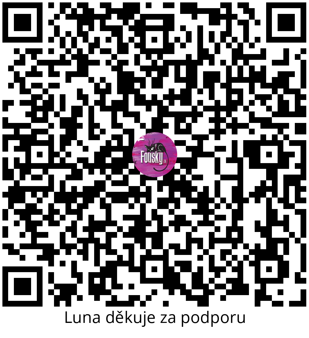 Platební QR kód