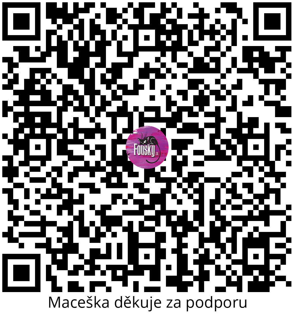 Platební QR kód