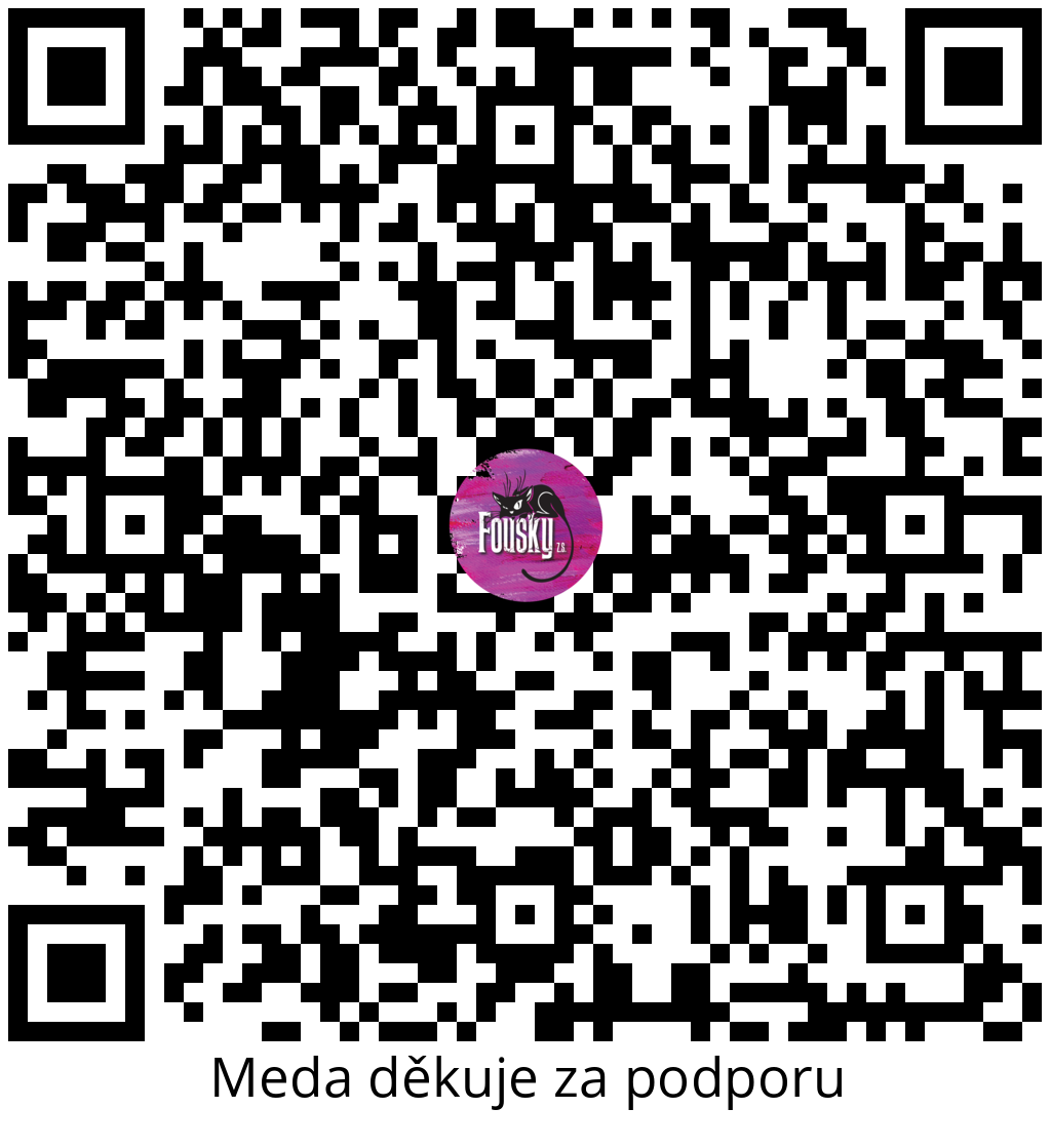 Platební QR kód