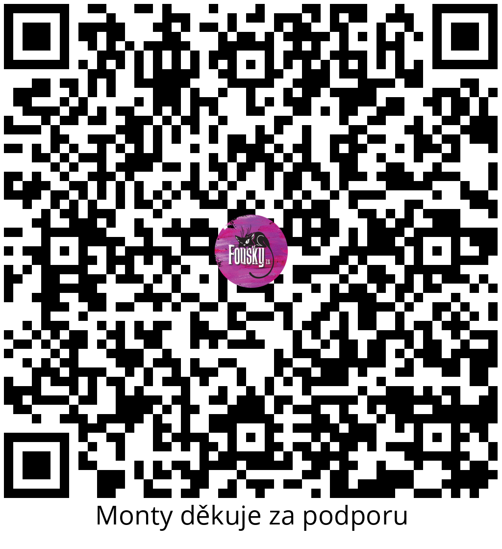 Platební QR kód