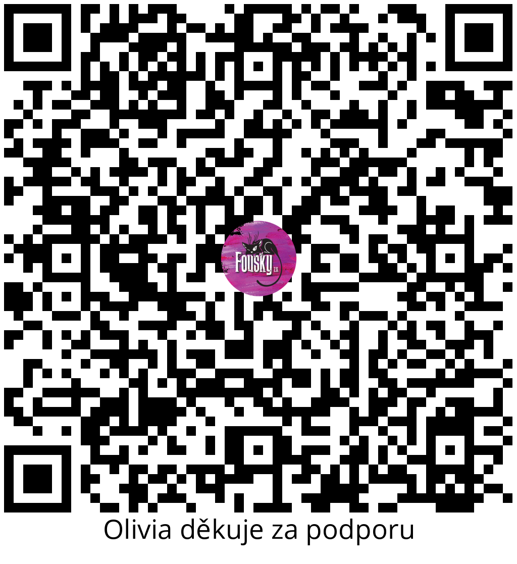 Platební QR kód