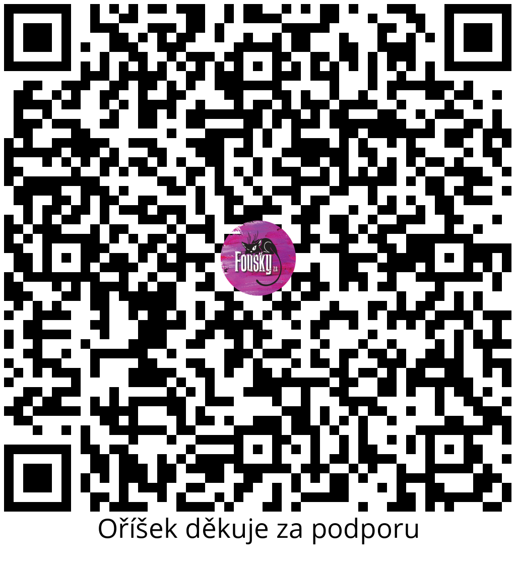 Platební QR kód