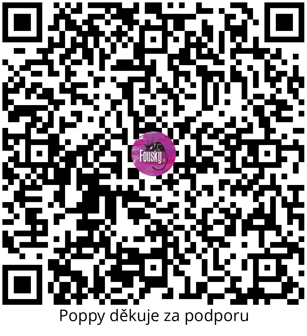 Platební QR kód