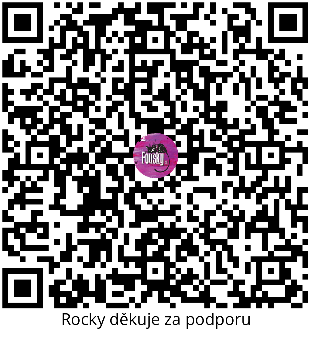 Platební QR kód
