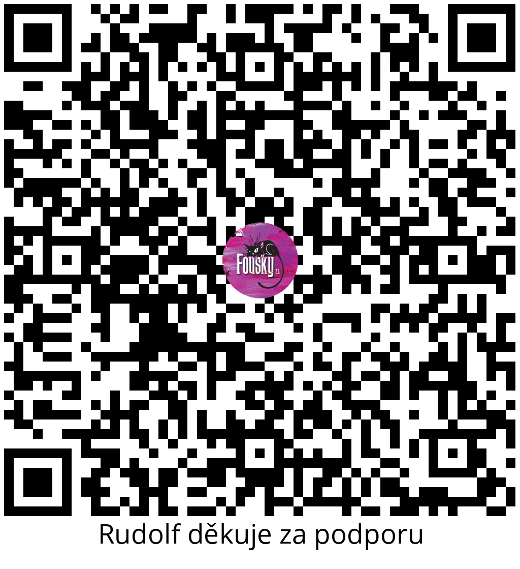 Platební QR kód