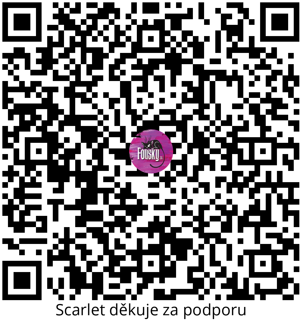 Platební QR kód