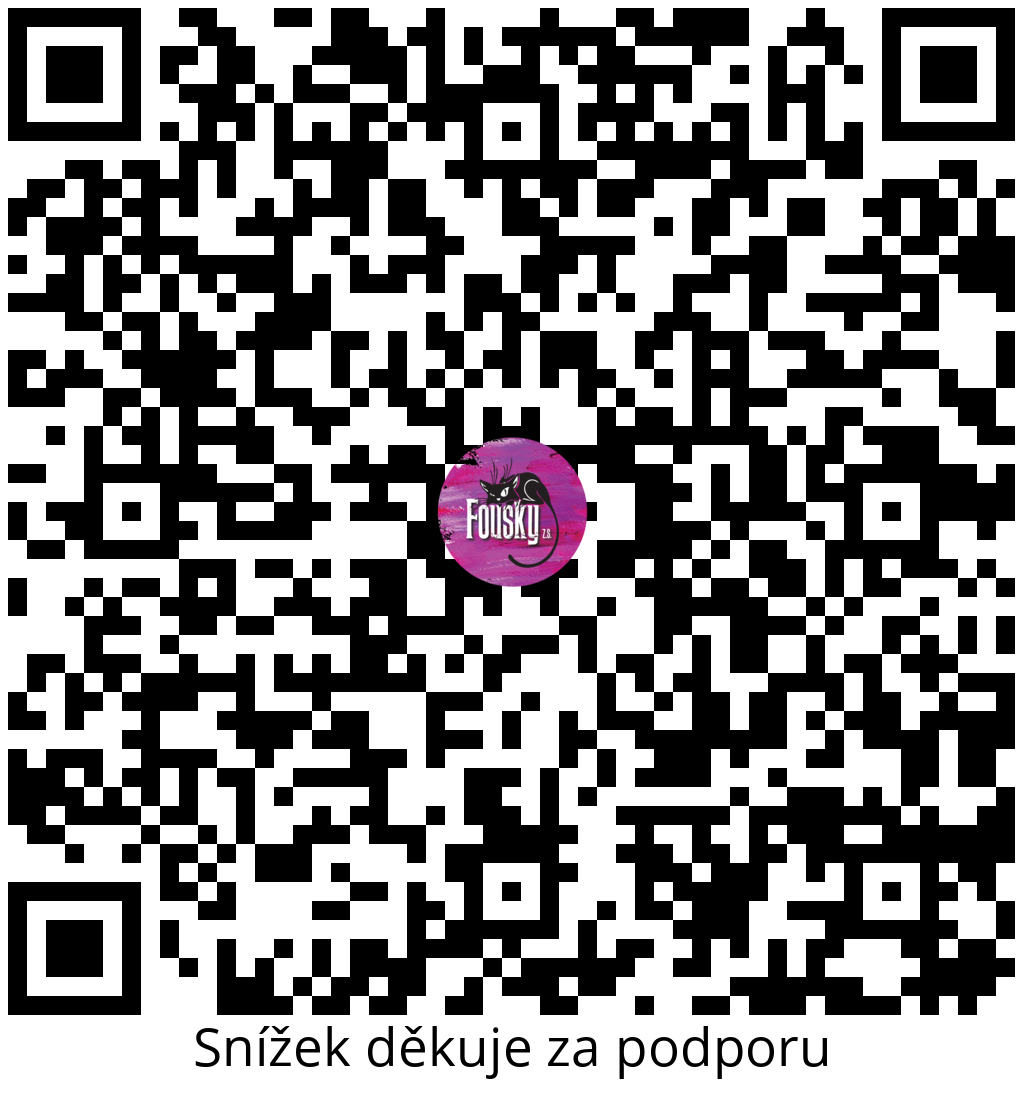 Platební QR kód
