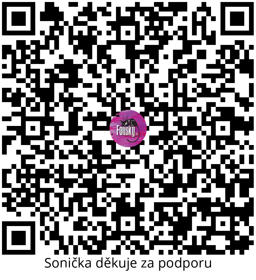 Platební QR kód