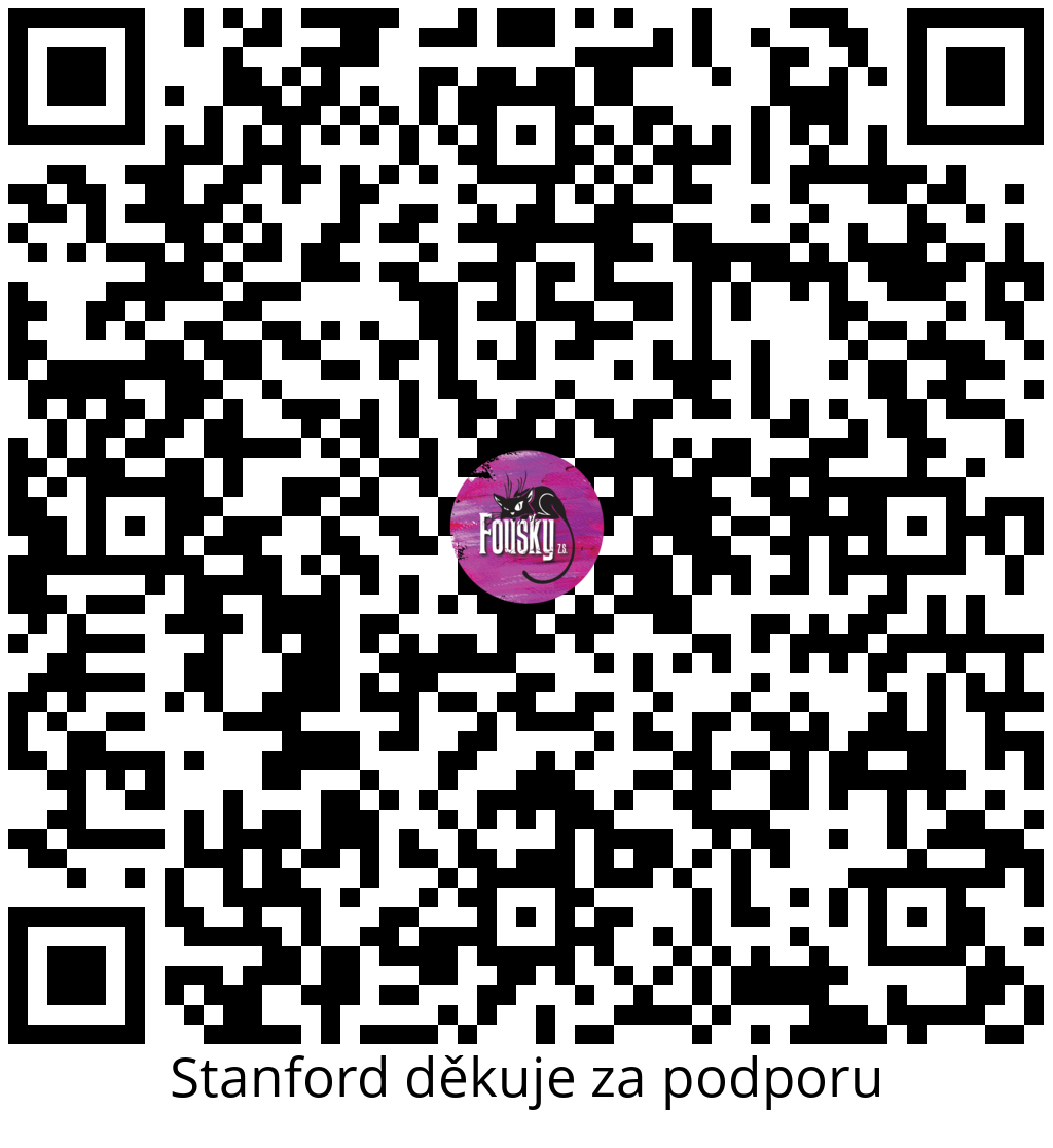 Platební QR kód