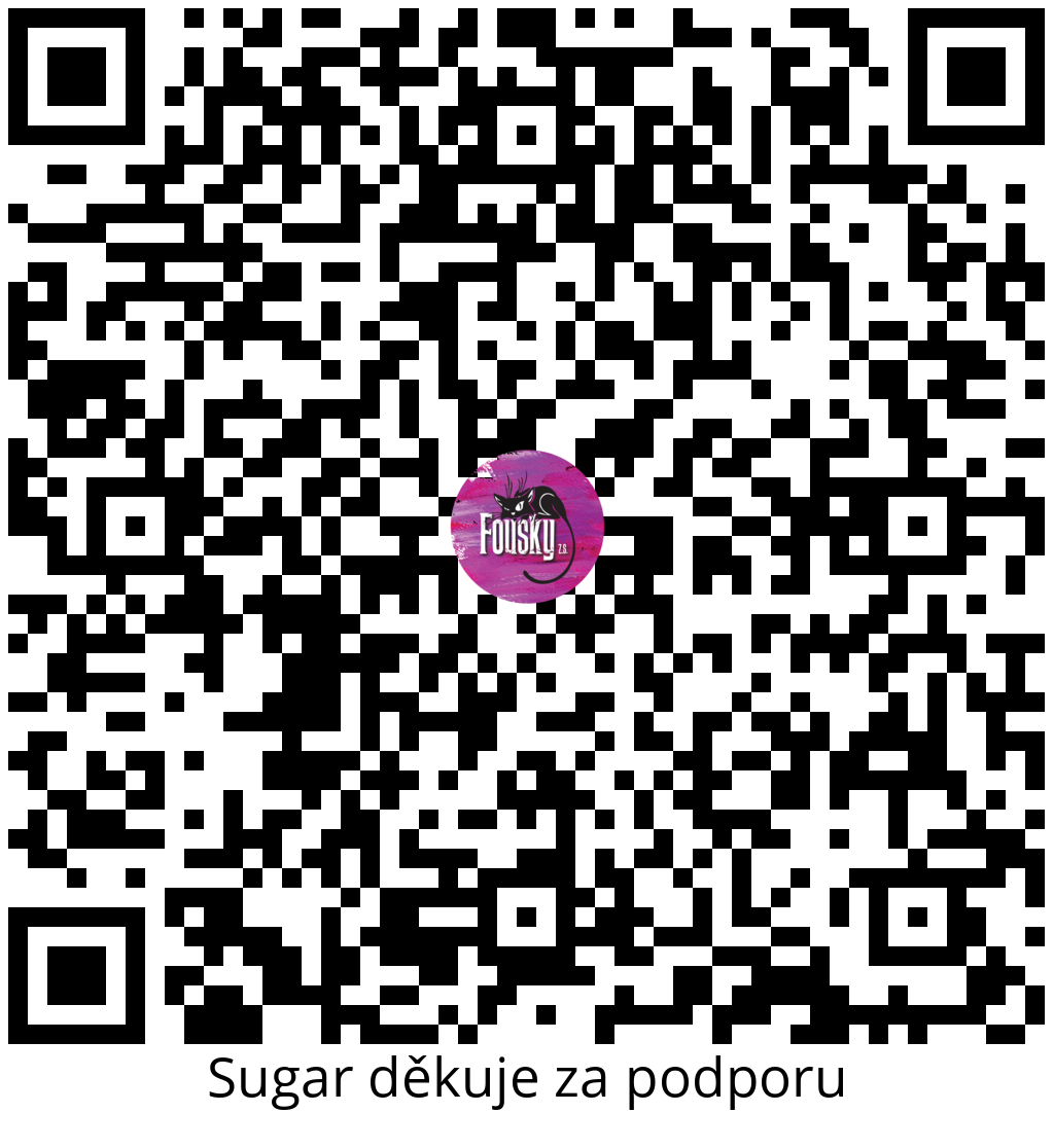 Platební QR kód
