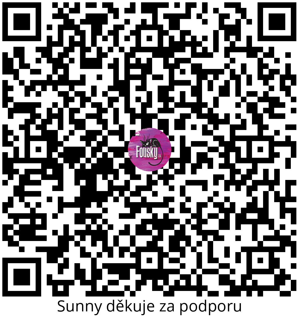 Platební QR kód