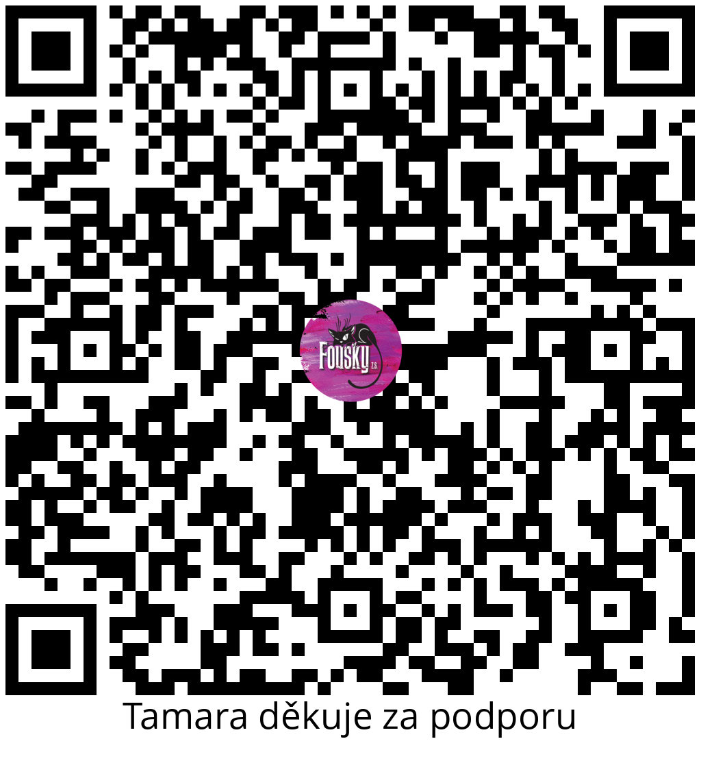 Platební QR kód