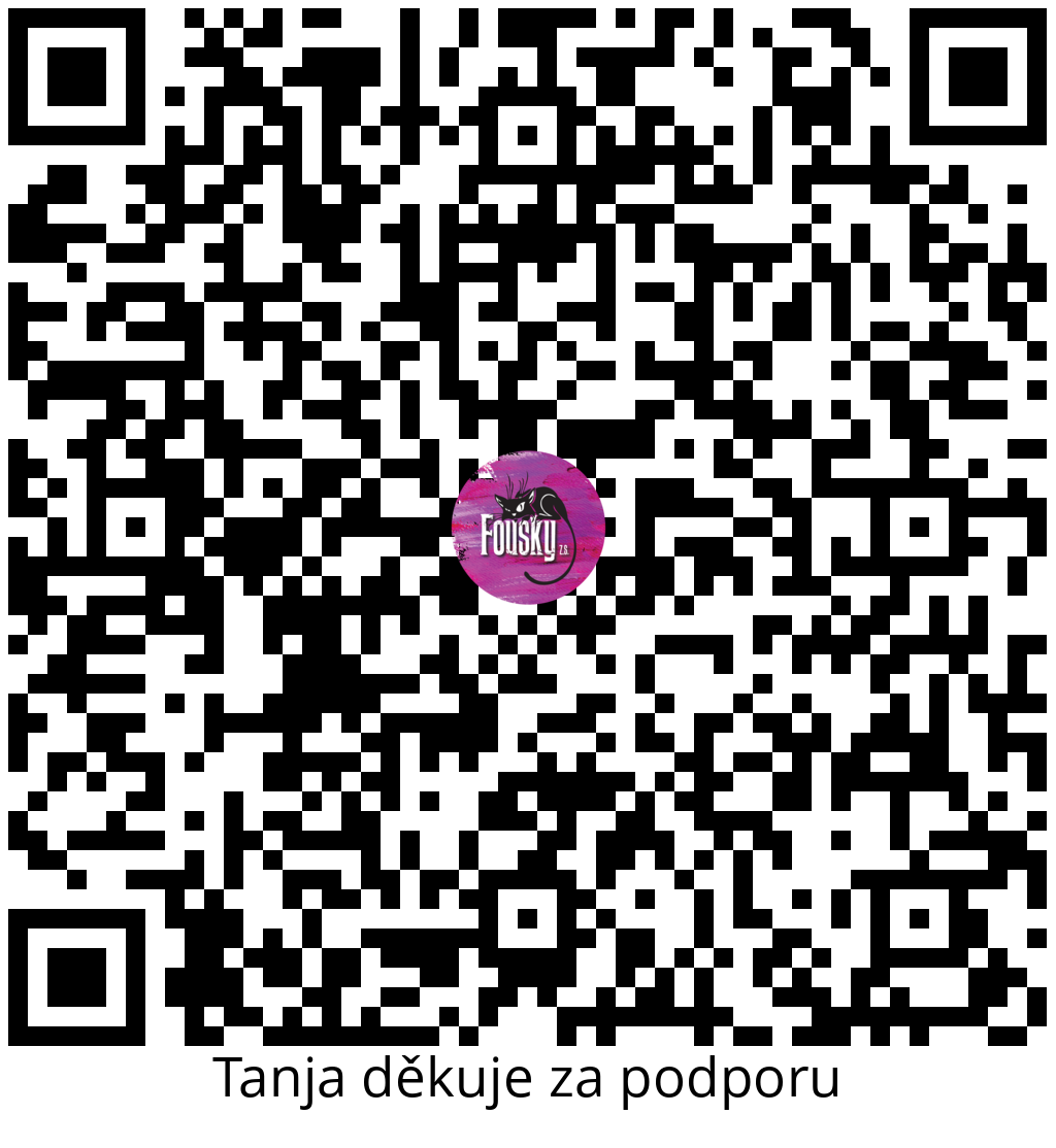 Platební QR kód
