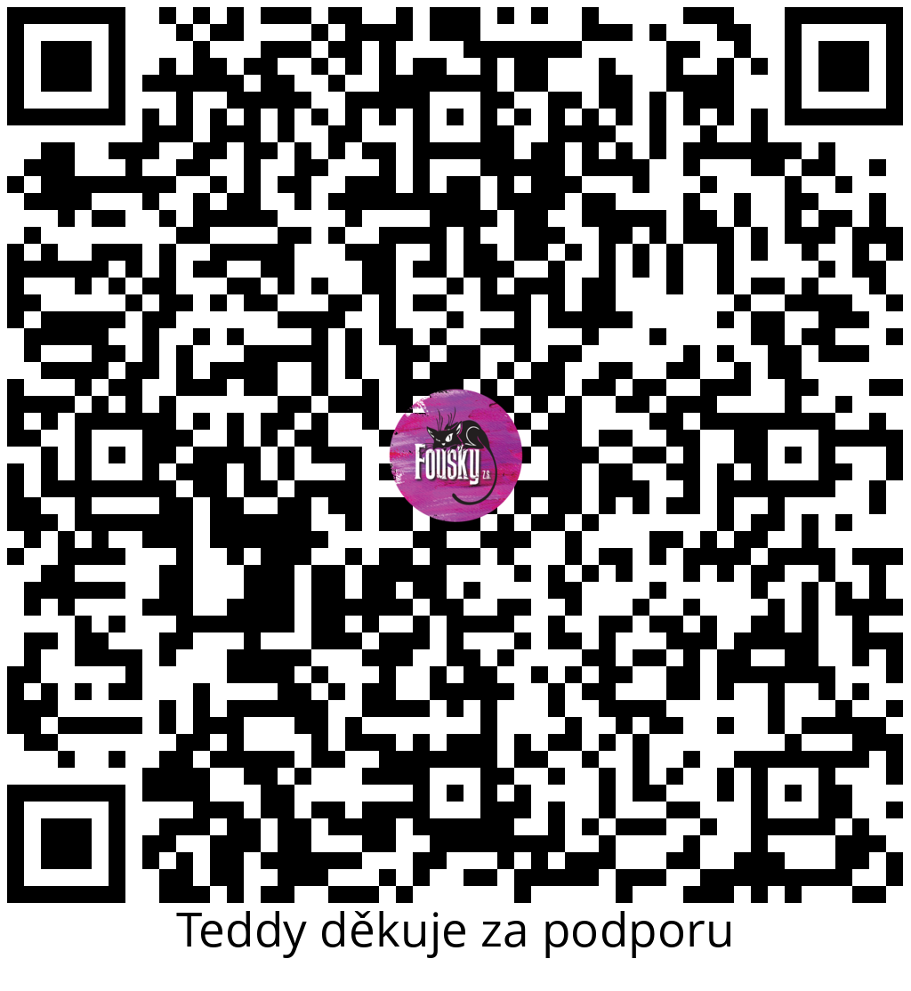 Platební QR kód