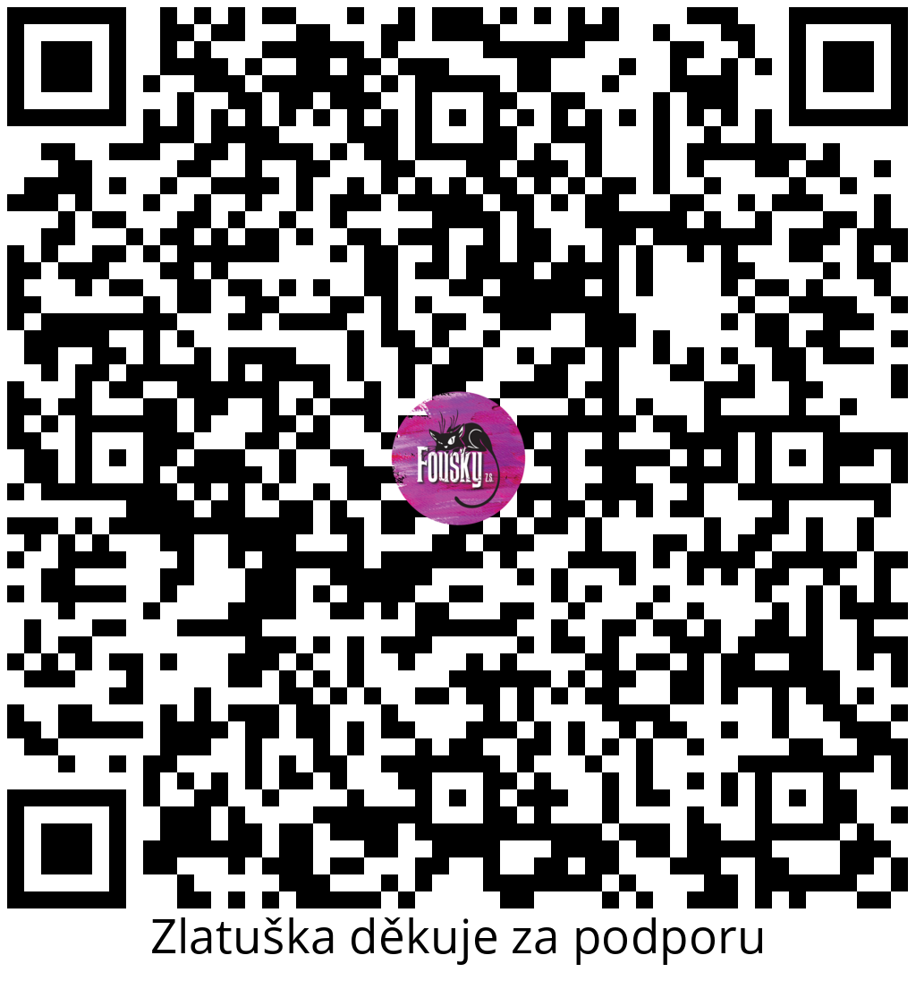 Platební QR kód